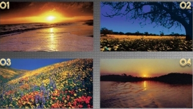 Ejemplos fondos a color