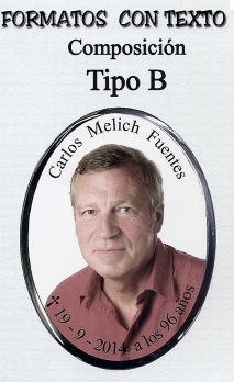 FOTO DE CER&Aacute;MICA CON MARCO DE ACERO INOXIDABLE - COMPOSICI&Oacute;N TIPO B