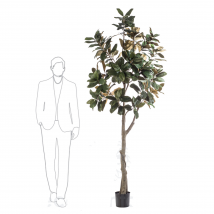 ÁRBOL GRAN MAGNOLIA INTERIOR ARTIFICIALES  
