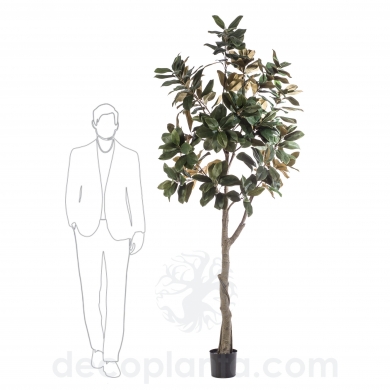 plantas artificiales

Plantas artificiales realistas

plantas artificiales realistas pequeñas

plantas artificiales realistas para exterior

plantas artificiales para exterior