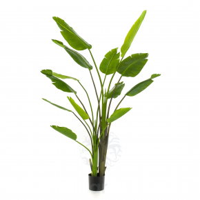 Plantas y flores artificiales

plantas artificiales realistas

plantas artificiales realistas para exterior

plantas artificiales para exterior balcones

plantas artificiales exterior resistentes

las mejores plantas artificiales de exterior

plantas artificiales 

plantas artificiales exterior baratas