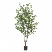 ÁRBOL EUCALYPTO INTERIOR ARTIFICIAL