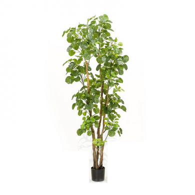 ÁRBOL ARALIA  ARTIFICIAL DE INTERIOR 