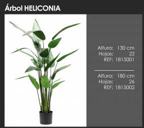 plantas y árboles artificiales interior

plantas y árboles artificiales

PLANTAS Y ÁRBOLES

Plantas y flores artificiales

plantas artificiales realistas

plantas artificiales realistas para exterior

plantas artificiales para exterior balcones

plantas artificiales exterior resistentes

las mejores plantas artificiales de exterior