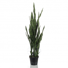 Árboles tipo

arboles arbustos y plantas

árboles artificiales realistas

árboles artificiales grandes exterior

árbol artificial 3 metros

arbol artificial interior

árbol artificial exterior