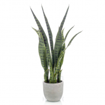 PLANTA ARTIFICIAL   SANSEVIERIA   DE INTERIOR DECOPLANTA