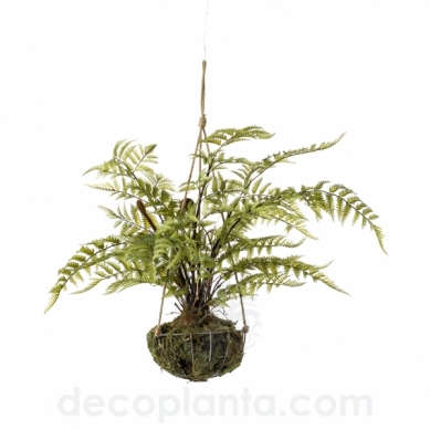 KOKEDAMA HELECHO COLGANTE TECHO DECOPLANTA DECOPLANTA  