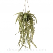 HELECHO COLGANTE  DECOPLANTA 