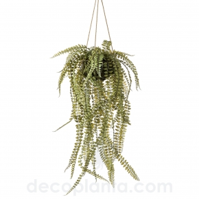 HELECHO COLGANTE  DECOPLANTA 