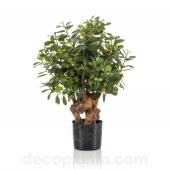 ÁRBOL FICUS BOTANIC  ARTIFICIAL DE INTERIOR 