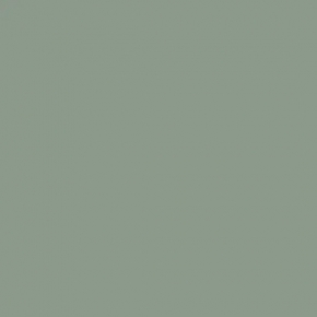COLOR VERDE